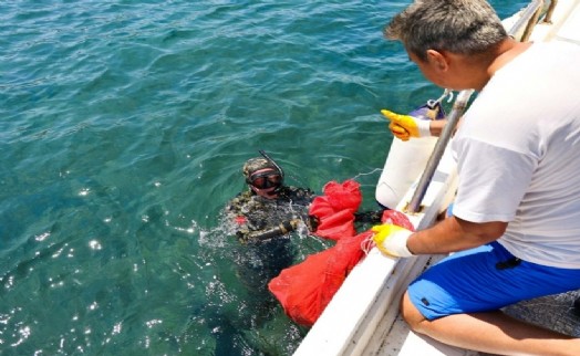 Turgutreis'te deniz dibi temizliği yapıldı