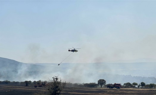 Uşak'ta makilik yangını