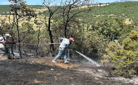 Uşak'ta meşelikte çıkan yangın, 3 saatte söndürüldü