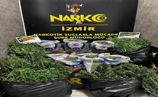 Villalara sera kurup kenevir yetiştirmişler: 3 şüpheli tutuklandı