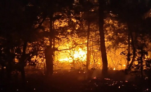 Yıldırım, orman yangınına neden oldu; 2 hektar zarar gördü