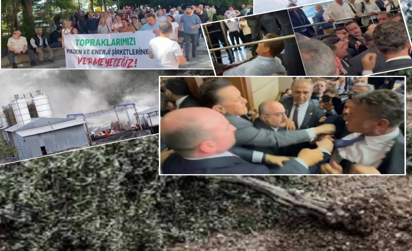 AK Partili vekiller zeytinlikler için harekete geçti: Eksiksiz savunacaklar