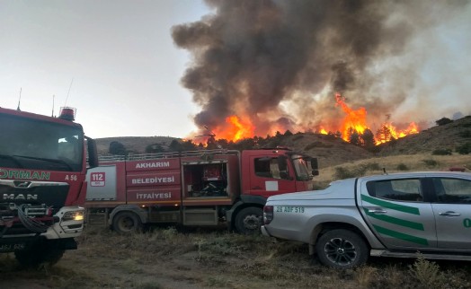 Afyonkarahisar'da çıkan orman yangını 13 saatte kontrol altına alındı