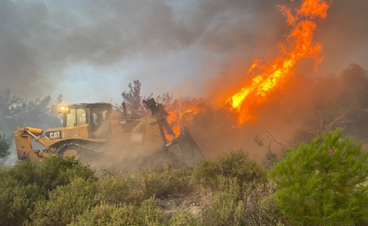 Akhisar'da orman yangını