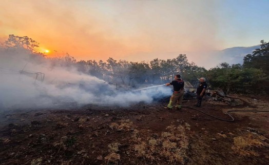 Akhisar'daki orman yangını, 18 saatte kontrol altına alındı
