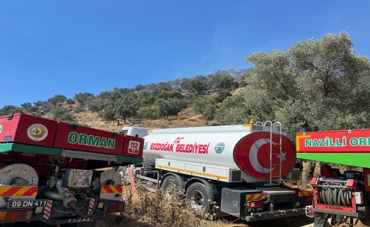 Aydın'da makilik ve zeytinlik alanda yangın kontrol altında