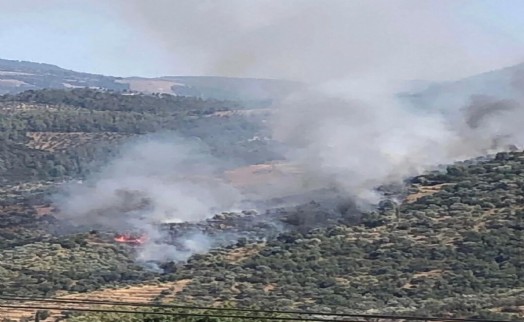 Aydın'da orman yangını 4 saatte kontrol altına alındı