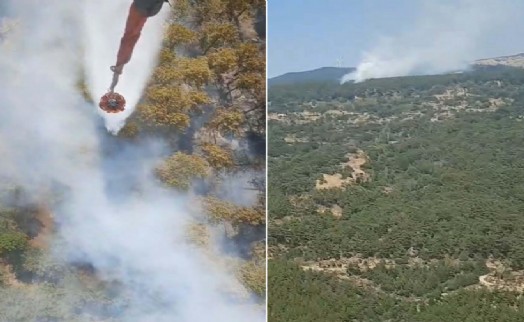 Aydın'daki orman yangını 2 saatte kontrol altına alındı