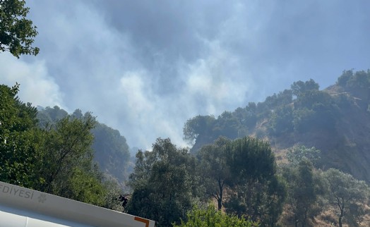Aydın'da tarım arazisinde yangın kontrol altına alındı