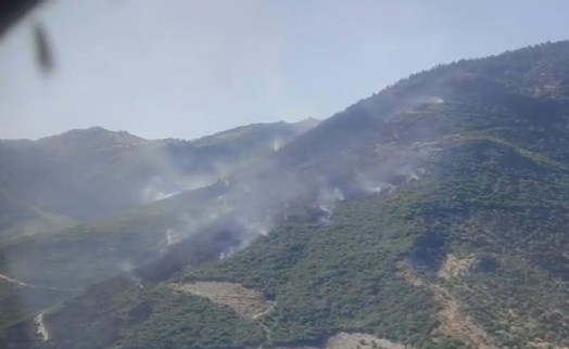Aydın'daki orman yangını 26 saat sonra kontrol altına alındı