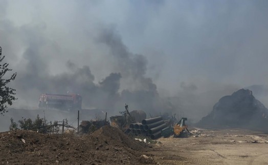 Aydın'daki ot yangını hayvan çiftliğine sıçradı; kontrol altında