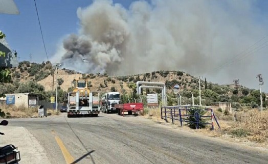 Aydın'da tarım arazisinde çıkan yangın ormana sıçradı