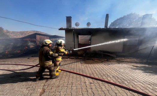 Bayındır'da köy içinde çıkan ot yangını yerleşim alanlarına sıçradı