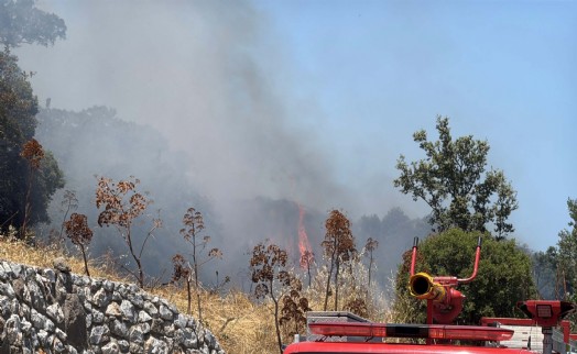 Bodrum'daki yangında 2 hektar alan zarar gördü