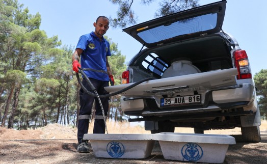 Buca Belediyesi'nden can dostları için hayati hamle