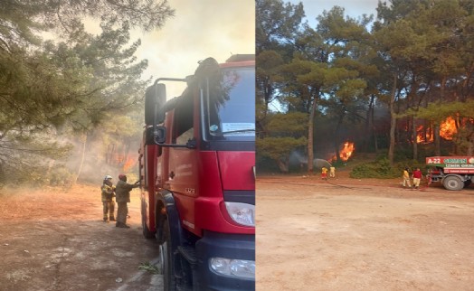 Büyükşehir'den Gaziemir yangını açıklaması