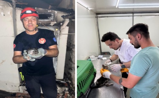 Büyükşehir yangın bölgelerindeki canlıların yardımına koştu