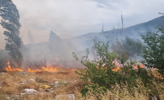 Çalılıkta başlayan yangın 50 dekarı kül etti!