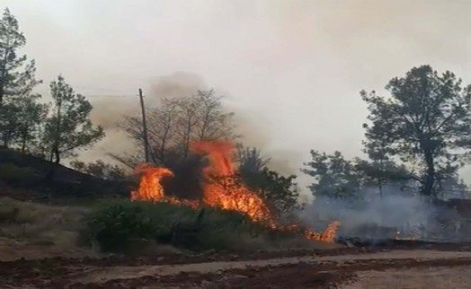 Denizli'de 7 hektar ormanlık alan kül oldu