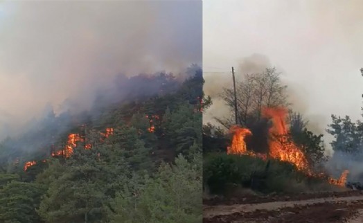 Denizli'de orman yangını