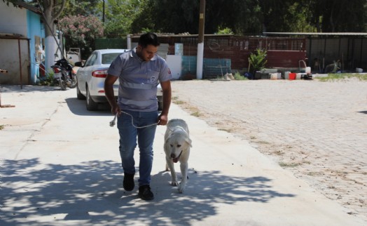 Efes Selçuk'ta 'Satın Alma Sahiplen' çağrısı