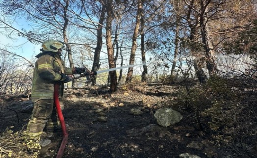 Ekipler Urla'da canla başla yangına müdahale ediyor