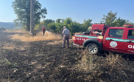Elektriğe kapılan kuş yangın çıkardı