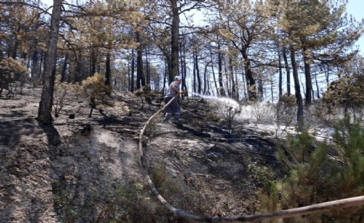 Eskişehir- Afyon yangınından sevindirici haber! Kontrol altına alındı