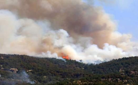 Eskişehir'de çıkan orman yangını, 3'üncü günde Afyonkarahisar'da sürüyor
