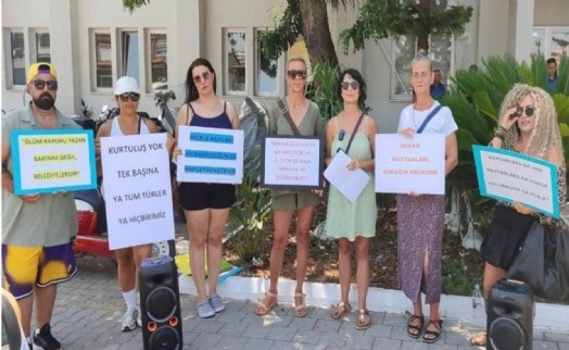 Fethiye'de barınak halka kapatıldı, vatandaşlar zabıtayı protesto etti!