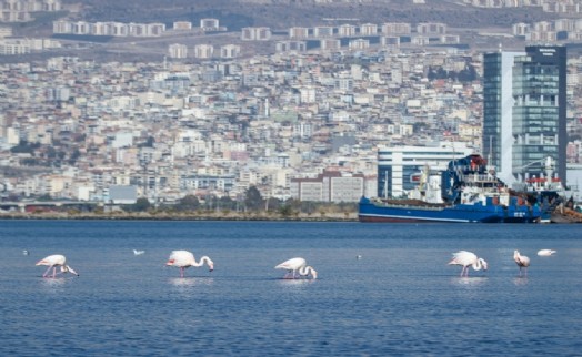 İzmir'de çoklu iklim krizine karşı çözüm odaklı proje