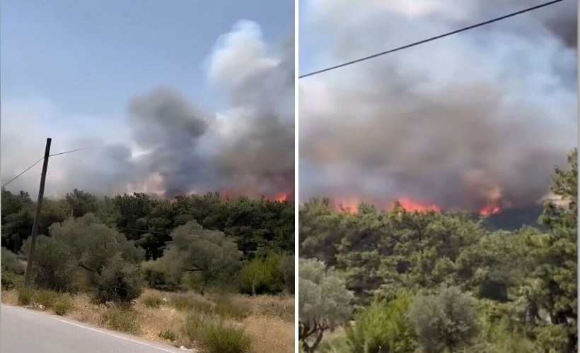 İzmir'de 3 ilçedeki yangın da kontrol altına alındı: Soğutma çalışmaları sürüyor.