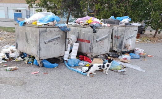 İzmir'de yaz ortası bir de çöp krizi Harmandalı kapandı, Halkapınar yetersiz kaldı