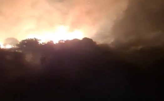 Dikili'deki maki yangını 8 saatte kontrol altına alındı