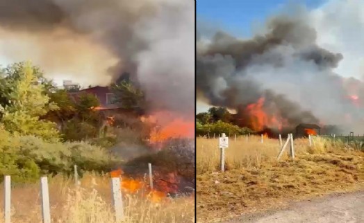 İzmir'de tarım arazisinde yangın
