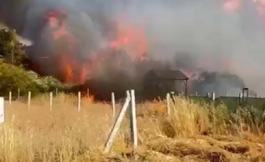 İzmir'de tarım arazisindeki yangında 8 ev zarar gördü
