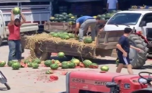 Karpuzları yere atıp parçalamanın cezası 17 milyon TL!