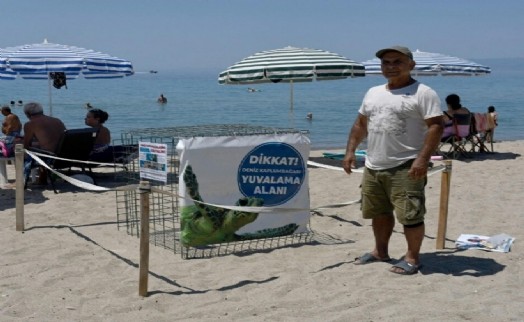 Kuşadası'nda caretta caretta yuvası tespit edildi