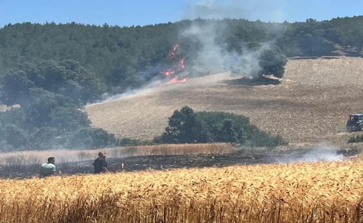 Kütahya'da tarım arazisinde çıkan yangın ormana sıçradı