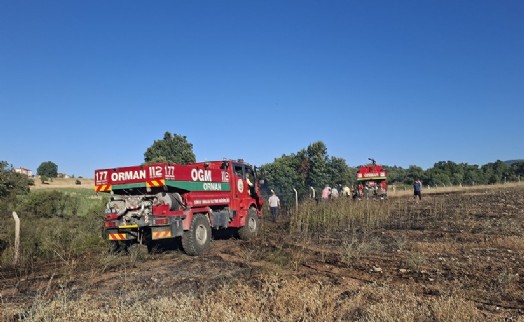 Kütahya'da arazi yangını; 7 dekar alan zarar gördü