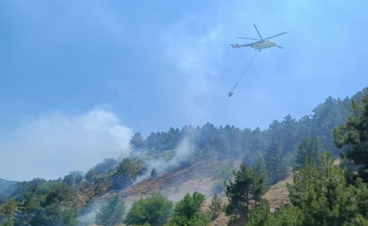 Kütahya'daki orman yangını, erken müdahaleyle söndürüldü