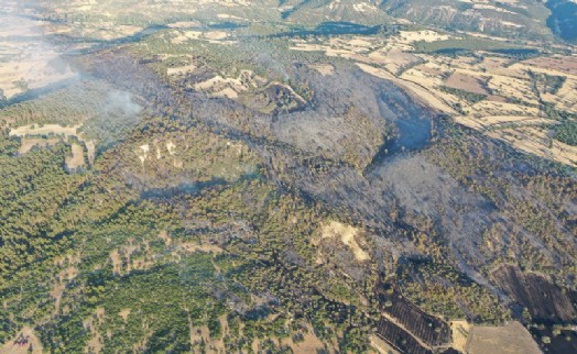 Kütahya'daki orman yangını kontrol altına alındı