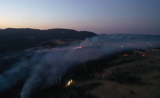 Kütahya'daki orman yangınında 6 hektar alan zarar gördü