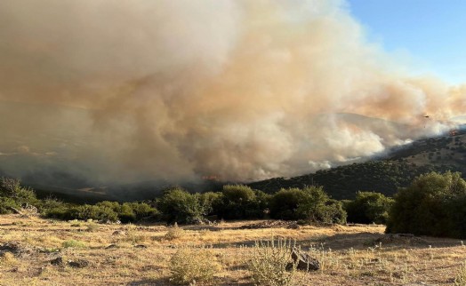 Manisa Sarıgöl'de çıkan Uşak'a ulaşan yangın 10,5 saatte kontrol altına alındı