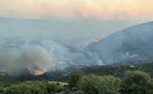 Manisa Sarıgöl'de çıkan yangın Uşak'a ulaştı; bazı evler tahliye edildi