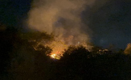 Manisa'da facianın eşiğinden dönüldü