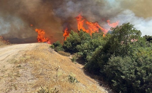 Manisa'da tarım arazisinde çıkan yangın kontrol altına alındı