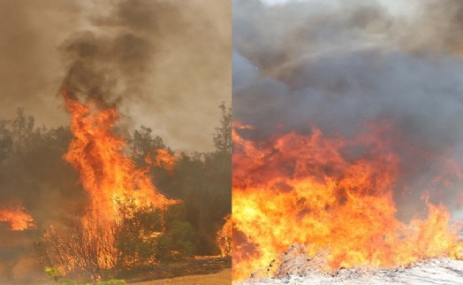 Manisa'da yangın kabusu: Bir ilçede daha yangın alarmı!