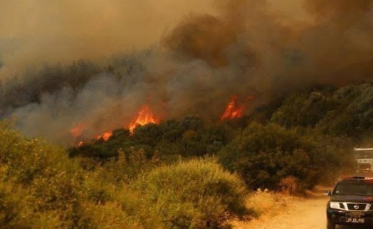 Manisa'da 2 noktada orman yangını; 2 gözaltı