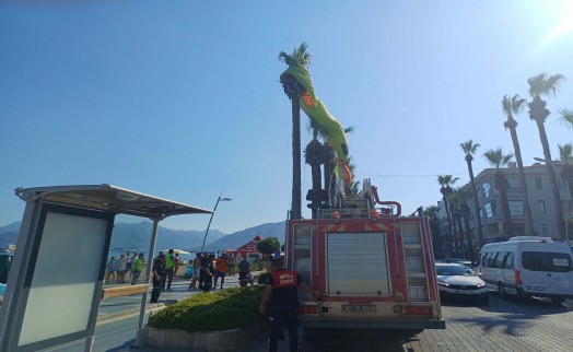 Marmaris'te deniz paraşütü ağaca takıldı; 2 kişi kurtarıldı